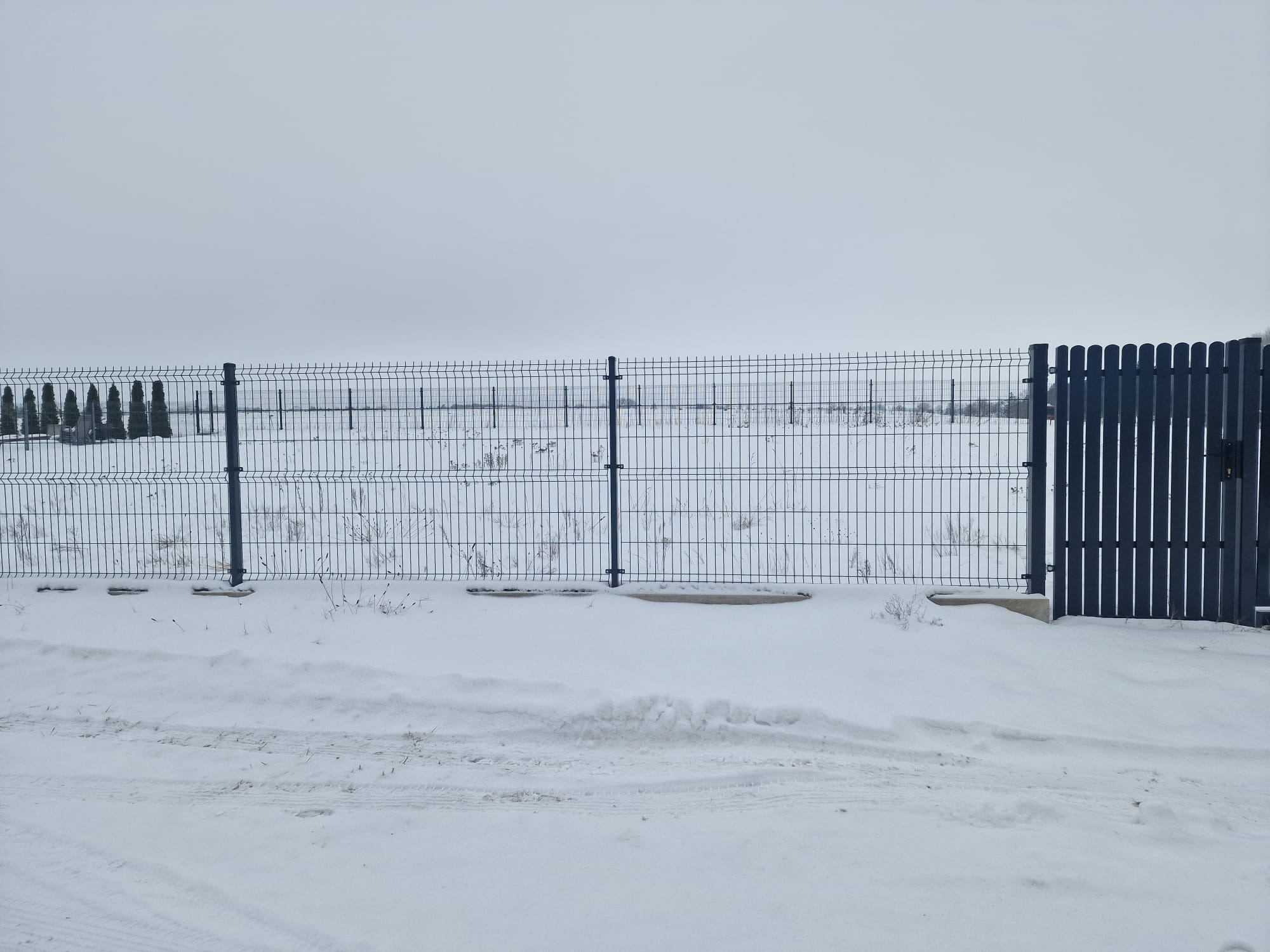 5e21af4d Bc92 4336 Bbed 334366e88b4f